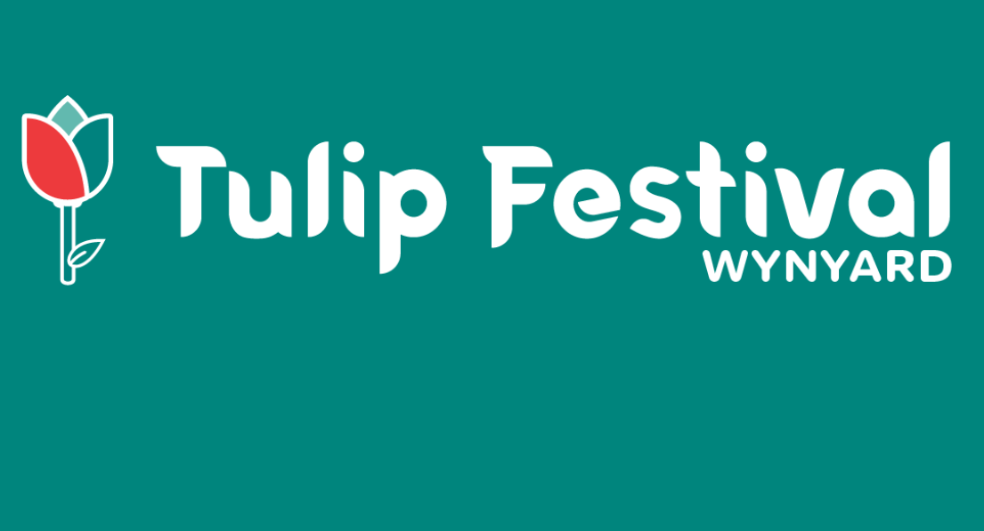 Wynyard Tulip Festival Roses Villa wynyard-tulip-festival-roses-villa